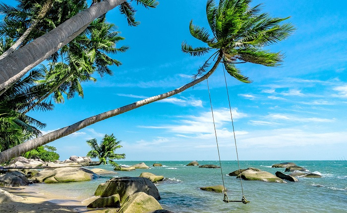 2 bãi biển có 'cây dừa Hawaii' siêu đẹp ở Kiên Giang nên check in 1 lần trong đời