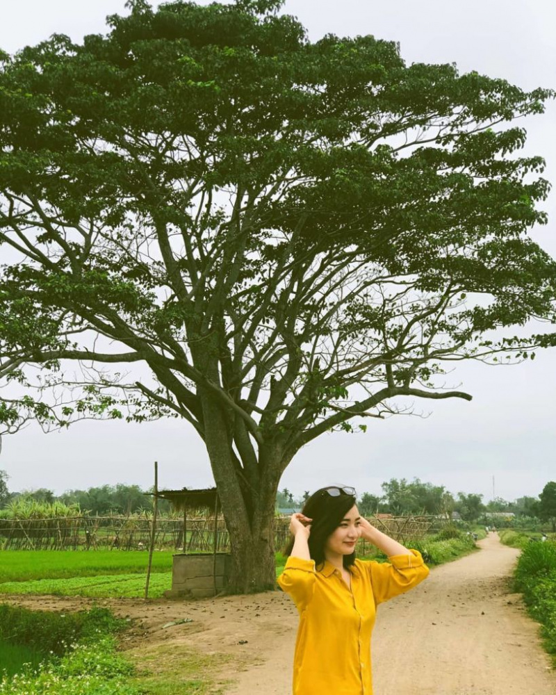 ‘SĂN LÙNG’ 8 cây cô đơn sống ảo dọc Việt Nam được giới trẻ yêu thích nhất