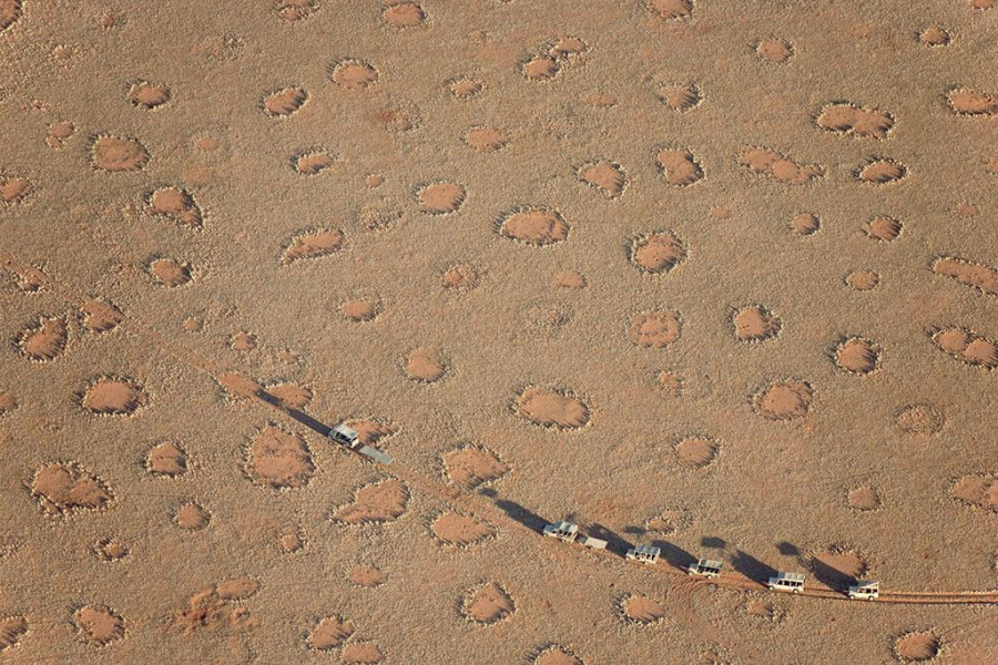 Những vòng tròn bí ẩn trong sa mạc Namib