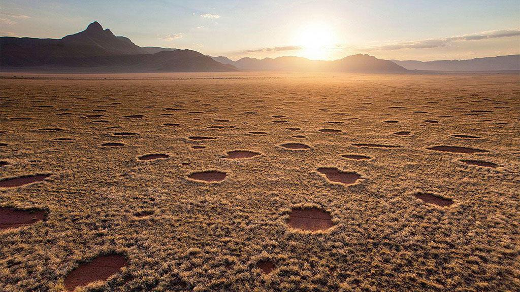                       Những vòng tròn bí ẩn trong sa mạc Namib                  
