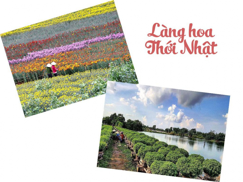                       4 làng hoa nổi tiếng ở miền Tây mùa giáp Tết                  