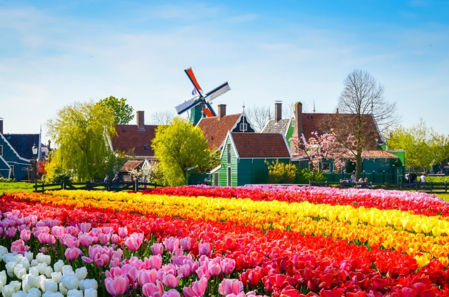 Ngập tràn sắc màu trong những lễ hội tại Hà Lan