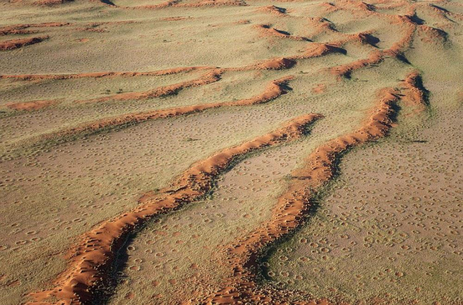                       Những vòng tròn bí ẩn trong sa mạc Namib                  