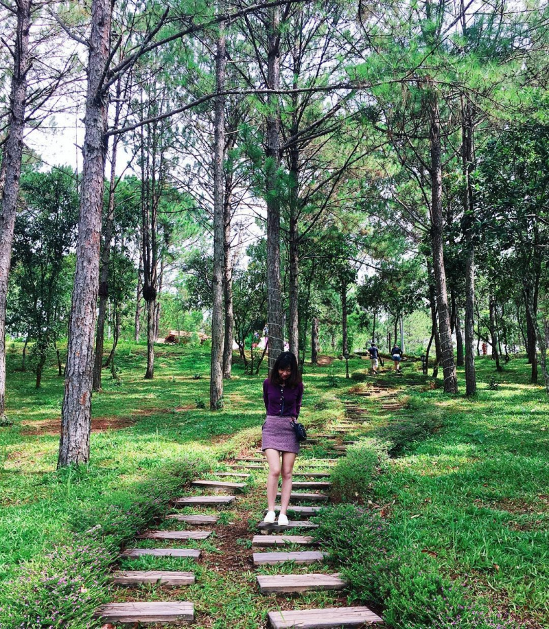 dat phong khach san, đặt phòng khách sạn, dat phong khach san truc tuyen, đặt phòng khách sạn trực tuyến, dat phong resort, đặt phòng resort, dat phong resort truc tuyen, đặt phòng resort trực tuyến