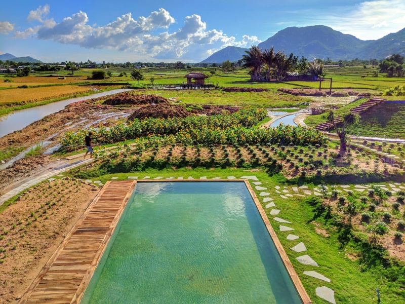 Truy tìm tọa độ khu vườn cổ tích đẹp như mơ ở Ninh Thuận