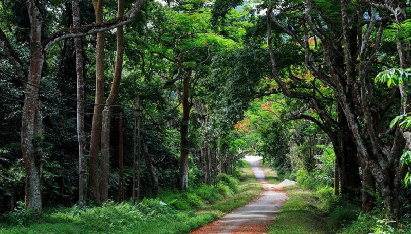  Du lịch Hà Nội Ba Vì bằng phương tiện gì