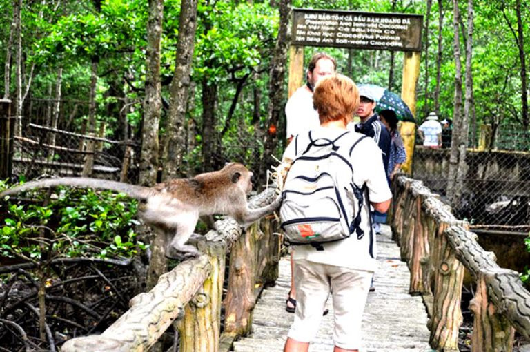  Đảo Khỉ Cần Giờ | Trải nghiệm du lịch hoang dã ngay tại Sài Gòn