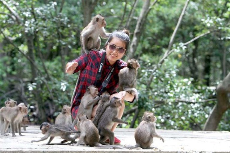  Đảo Khỉ Cần Giờ | Trải nghiệm du lịch hoang dã ngay tại Sài Gòn