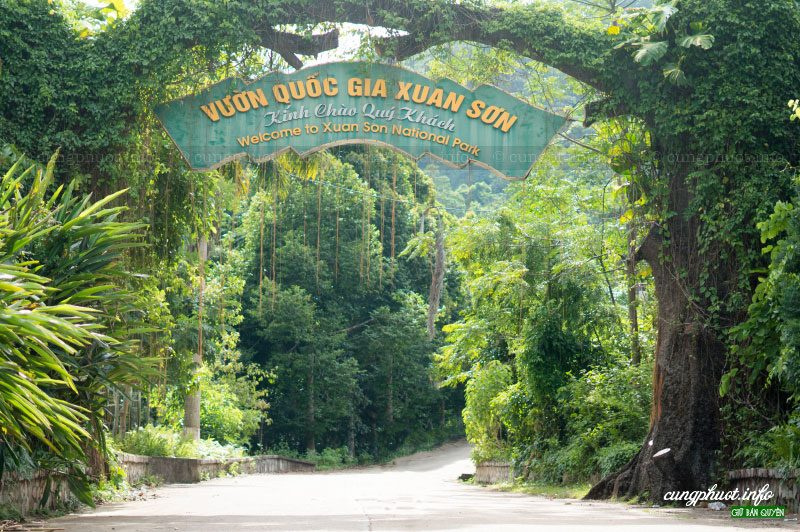  Review vườn quốc gia Xuân Sơn có gì hay: Lịch trình, Chi phí, Ăn ở