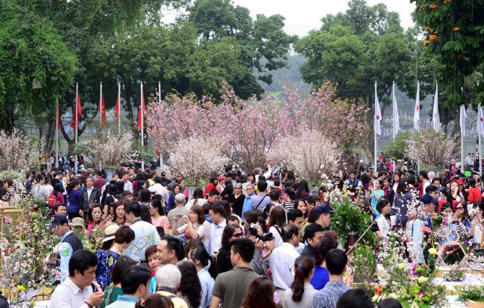 Có gì hay ở lễ hội hoa anh đào, hoa anh đào nhật bản, Lễ hội hoa anh đào, Lễ hội Nhật Bản, Yosakoi