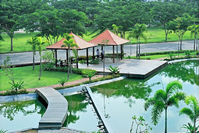 cắm trại, picnic, sài gòn