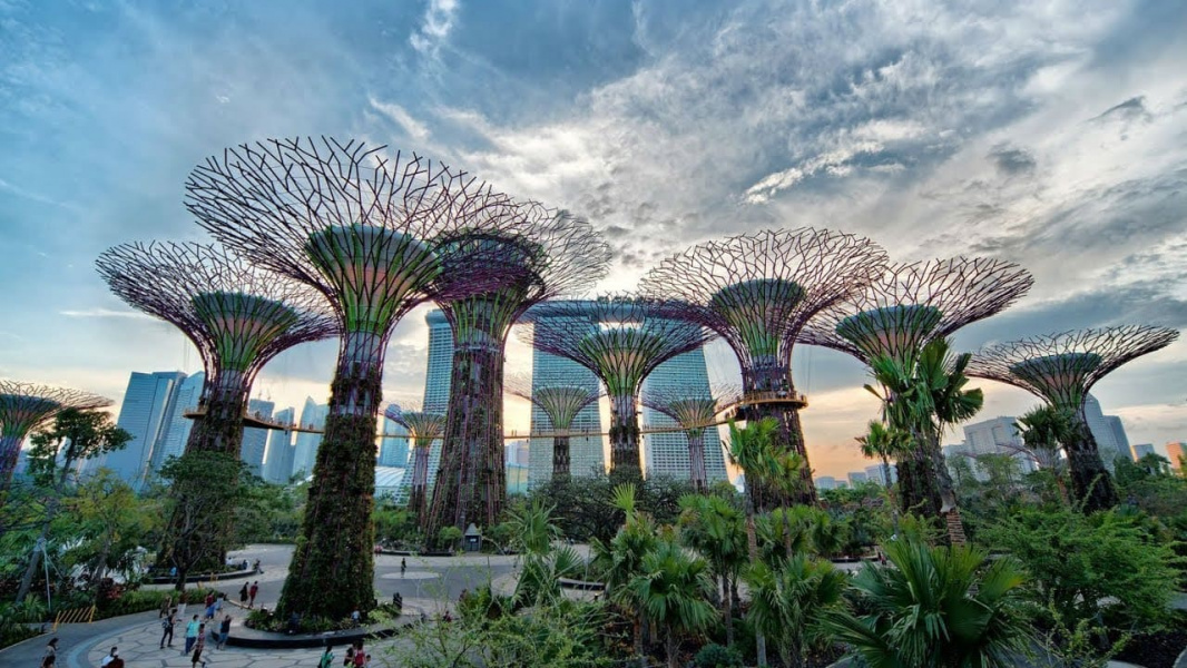Kinh nghiệm đi Garden By The Bay Singapore chi tiết và Giá vé