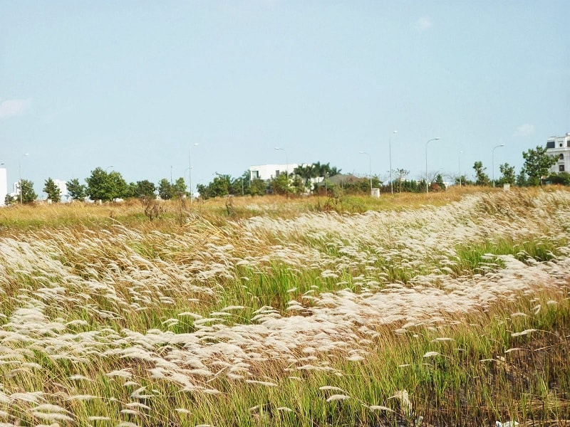 cắm trại, picnic, sài gòn