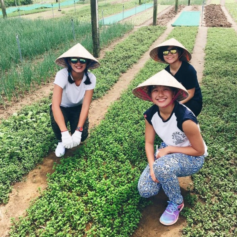 hội an, địa điểm du lịch hội an