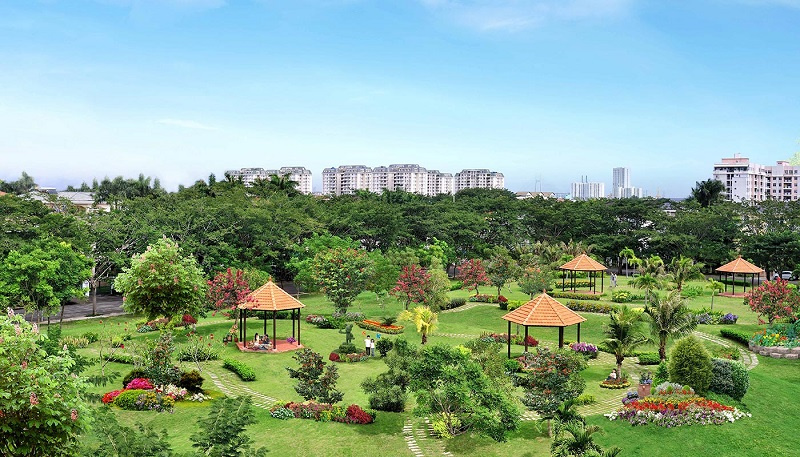 cắm trại, picnic, sài gòn