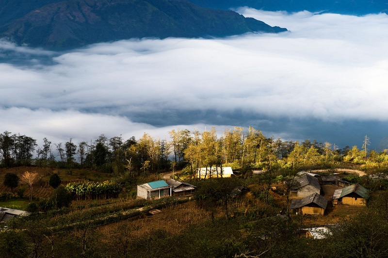 Hướng dẫn chinh phục núi Lảo Thẩn Lào Cai – nóc nhà Y Tý