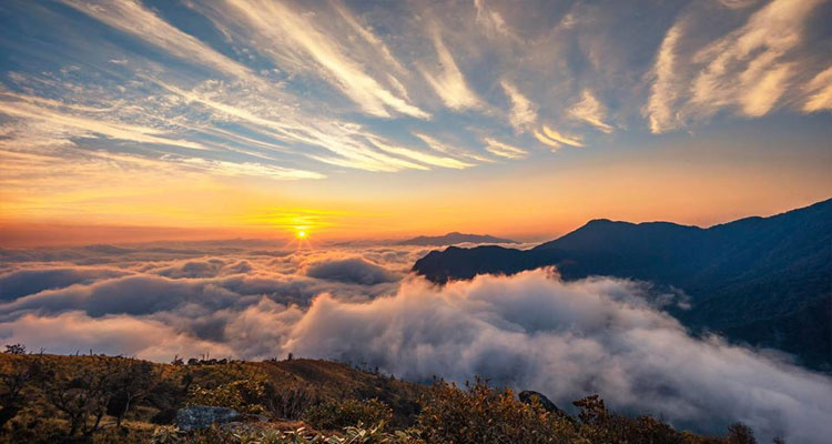 Phượt Tà Xùa (Bắc Yên) – Địa điểm săn mây lý tưởng cho giới trẻ
