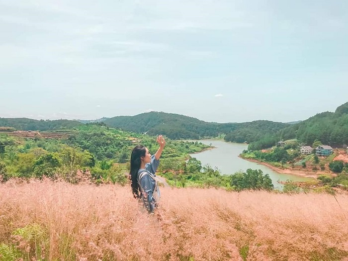 Phát hiện đồi cỏ hồng siêu lãng mạn view hồ Tuyền Lâm mới toanh ở Đà Lạt