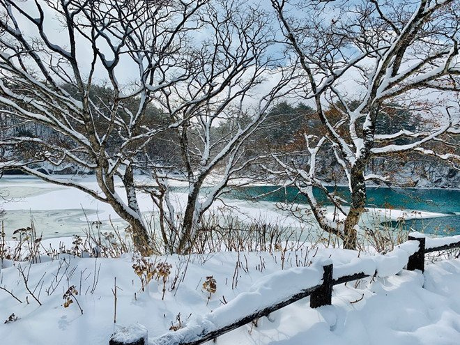 Fukushima, Nhật Bản, hái dâu, ngắm tuyết, tắm onsen, thảm hoạ hạt nhân