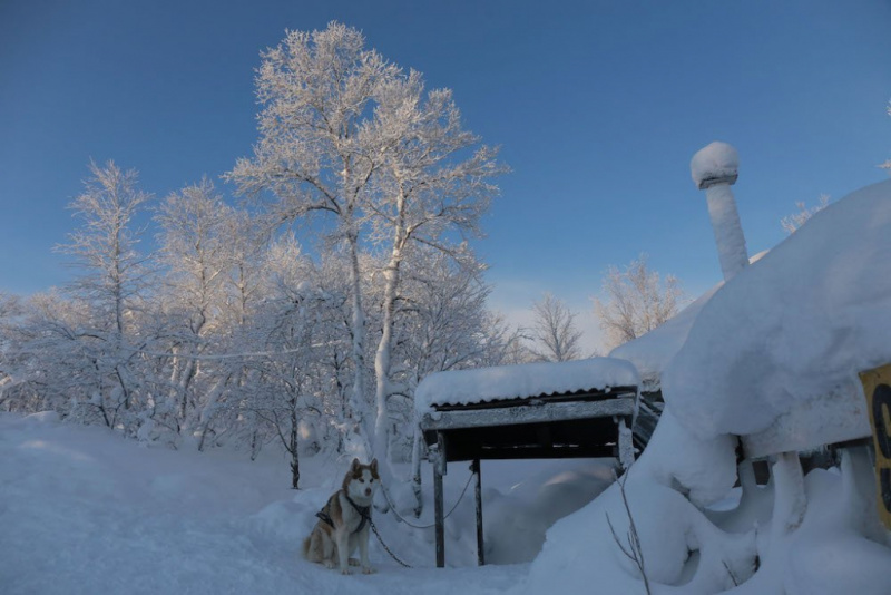 mùa đông, cổ tích, Vòng Bắc Cực, Bắc Cực, du lịch nga, Murmansk