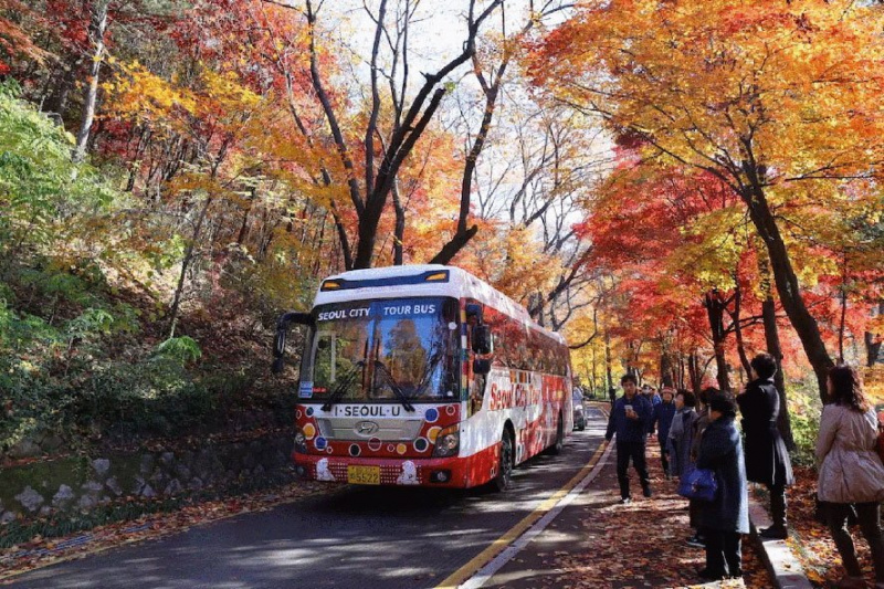 tham quan, Seoul, xe buýt, xe bus, hàn quốc, du lịch quốc