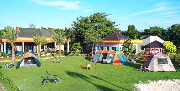 Bắt sóng khu cắm trại giữa thảo nguyên xanh mướt với ngôi nhà trên cây độc lạ ở Bà Rịa Vũng Tàu