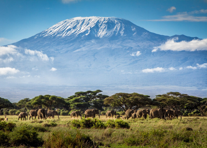 du lịch Tanzania, du lịch Zanzibar, kinh nghiệm du lịch Tanzania, kinh nghiệm du lịch Châu Phi, núi Kilimanjaro, chơi gì ở Tanzania, ăn gì khi đến Tanzania, ẩm thực Tanzania, du lịch Tanzania, kinh nghiệm du lịch Tanzania, núi Kilimanjaro