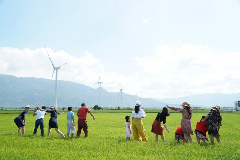 Đẹp hút hồn với cánh đồng điện gió Ninh Thuận