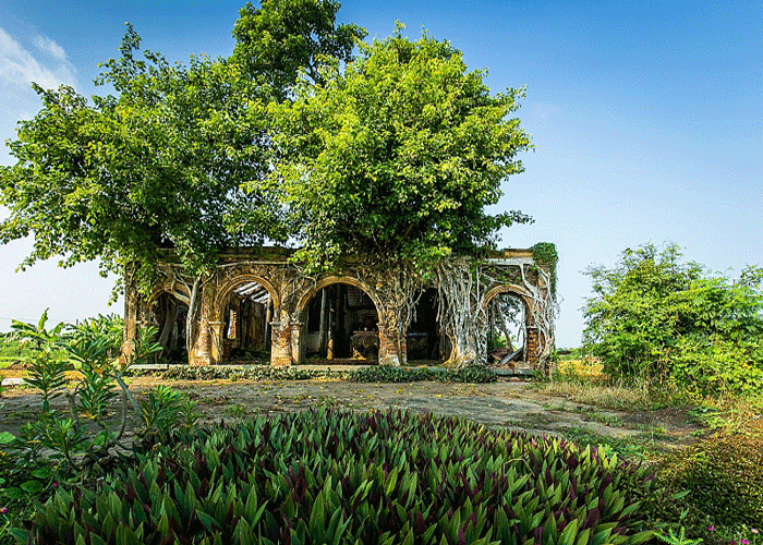 Ngôi đình Tân Đông ở Tiền Giang – Công trình hơn 100 tuổi nằm dưới rễ cây bồ đề