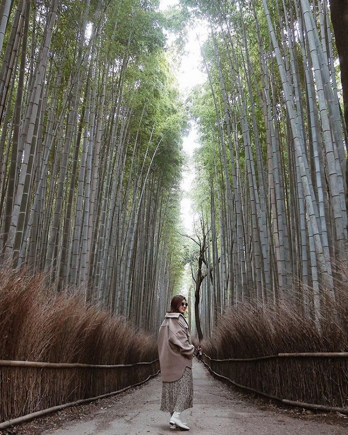 Lạc lối ở rừng tre Arashiyama với 'mê cung xanh mướt' tựa tranh vẽ ở Nhật Bản