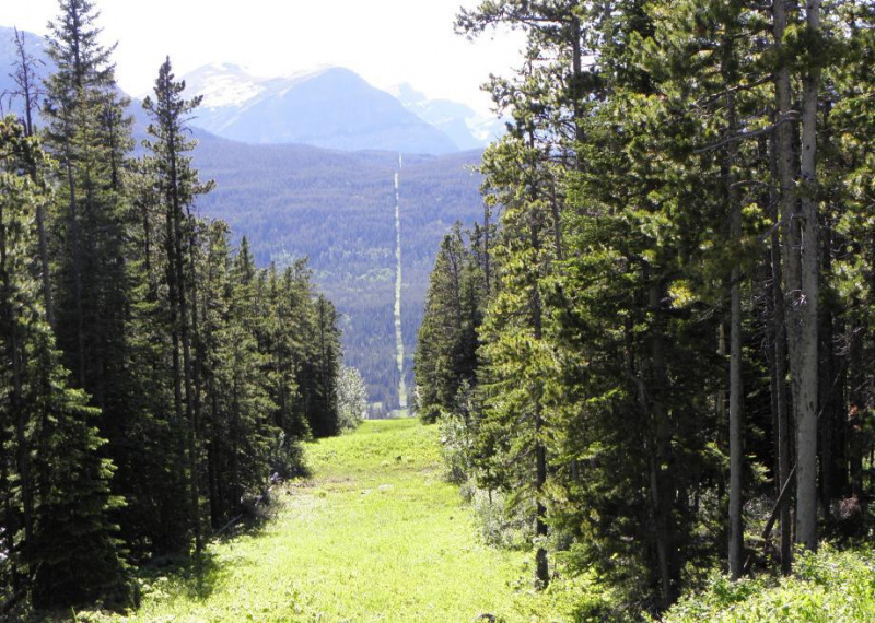 Biên giới Mỹ - Canada, nơi cây không thể mọc
