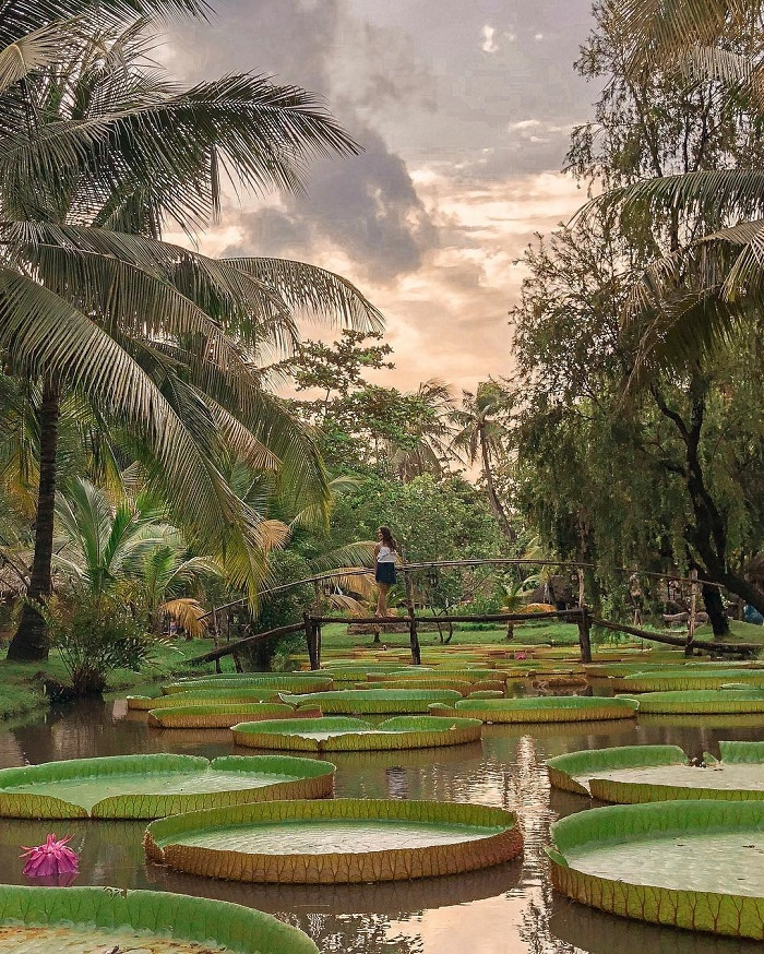 du lịch Sài Gòn, Thành phố Hồ Chí Minh, bán đảo Thanh Đa Sài Gòn, chơi gì ở Thanh Đa, khám phá Thanh Đa, bán đảo Thanh Đa Sài Gòn, du lịch Sài Gòn, thành phố Hồ Chí Minh, chơi gì ở Thanh Đa, khám phá Thanh Đa