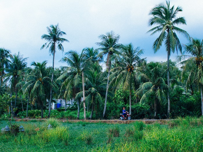 du lịch Sài Gòn, Thành phố Hồ Chí Minh, bán đảo Thanh Đa Sài Gòn, chơi gì ở Thanh Đa, khám phá Thanh Đa, bán đảo Thanh Đa Sài Gòn, du lịch Sài Gòn, thành phố Hồ Chí Minh, chơi gì ở Thanh Đa, khám phá Thanh Đa