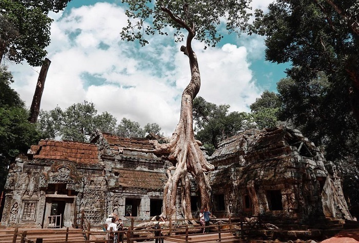 du lịch Campuchia, đền Ta Prohm, đền Ta Prohm