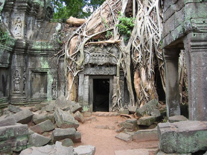 du lịch Campuchia, đền Ta Prohm, đền Ta Prohm
