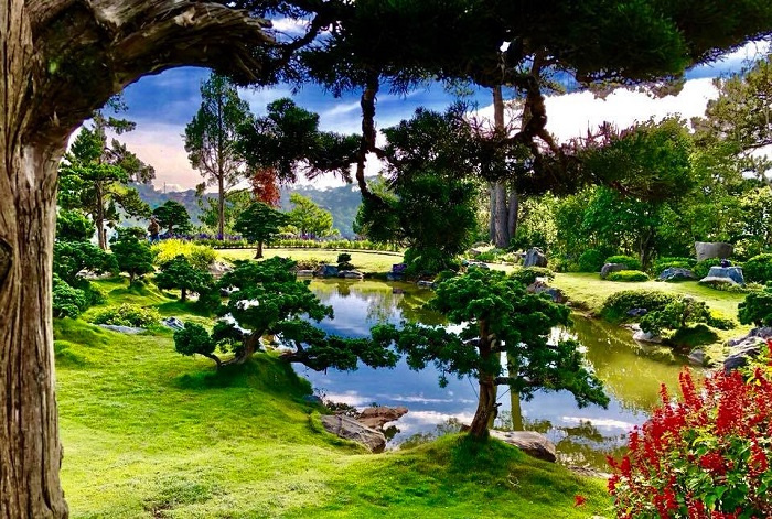 'Vườn địa đàng' đậm chất thơ ở khu du lịch lá phong Đà Lạt khi nắng thu về