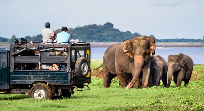 du lịch Sri Lanka, kinh nghiệm du lịch Sri Lanka, du lịch Sri Lanka