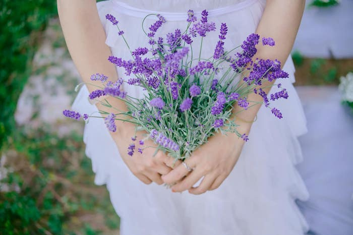 điểm check-in Đà Lạt, vườn hoa oải hương Túi Thương Nhớ, vườn hoa lavender Đà Lạt, điểm đến mới ở Đà Lạt, vườn hoa oải hương Túi Thương Nhớ, vườn hoa lavender Đà Lạt, điểm check-in Đà Lạt