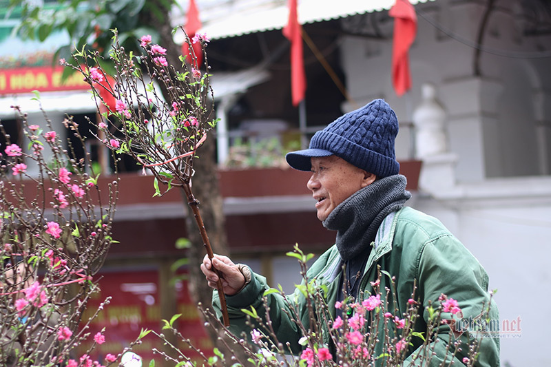 Dạo quanh 6 chợ hoa Tết Hà Nội nổi tiếng năm 2021