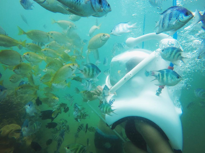 Ghim ngay  kinh nghiệm lặn biển Nha Trang ‘cực chi tiết’ cho chuyến đi du lịch sắp tới của bạn