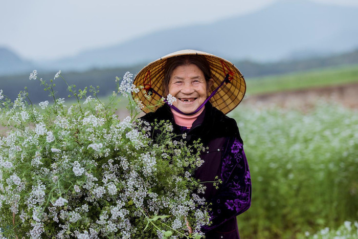 điểm du lịch cuối năm, phong tục Tết Việt, cánh đồng mùi già ở Thanh Hoá, phong tục Tết Việt, cánh đồng mùi già ở Thanh Hoá, điểm du lịch cuối năm