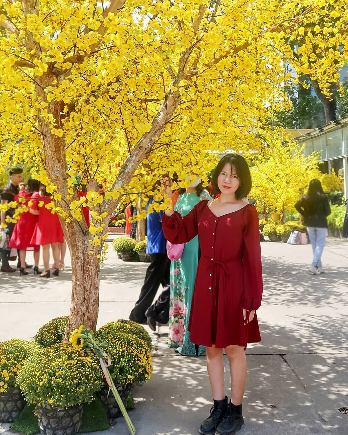 Đến hẹn lại lên, nhà văn hóa Thanh Niên 'chiếm trọn spotlight' với con đường hoa mai vàng rực mừng xuân mới   