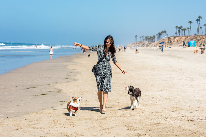 Du lịch California, đừng bỏ qua những bãi biển dành riêng cho team yêu chó