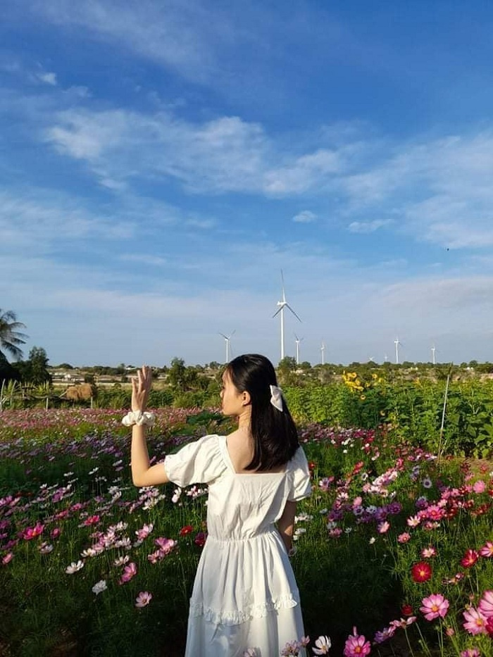 du lịch Bình Thuận, kinh nghiệm đi Bình Thuận, điểm đến ở Bình Thuận, Vườn Hoa Mặt Trời ở Bình Thuận, vườn hoa đẹp ở Bình Thuận, Vườn Hoa Mặt Trời ở Bình Thuận,  du lịch Bình Thuận, kinh nghiệm đi Bình Thuận, điểm đến ở Bình Thuận, vườn hoa đẹp ở Bình Thuận