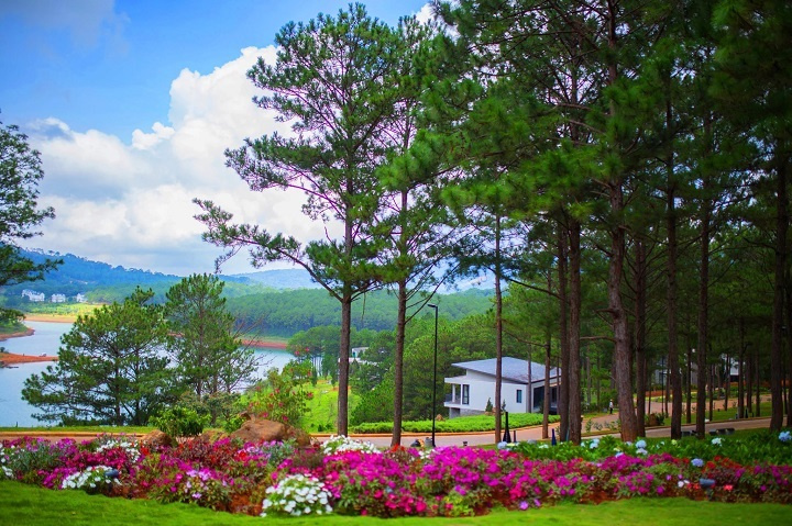 Đặt phòng Đà Lạt: Top 5 resort, khách sạn đẹp đến ngỡ ngàng bên hồ Tuyền Lâm