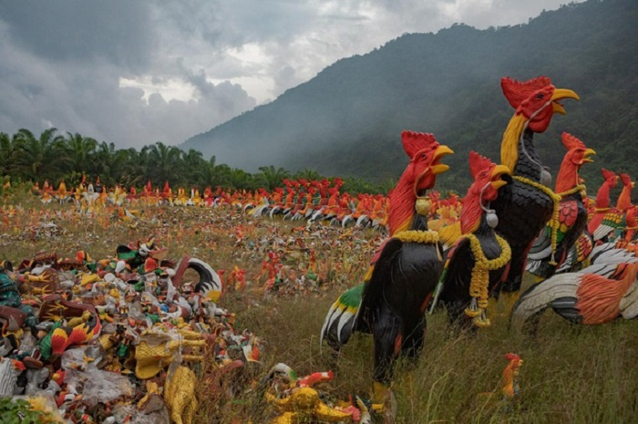 Kỳ lạ ngôi chùa Thái Lan khách đến thăm dâng toàn... tượng gà