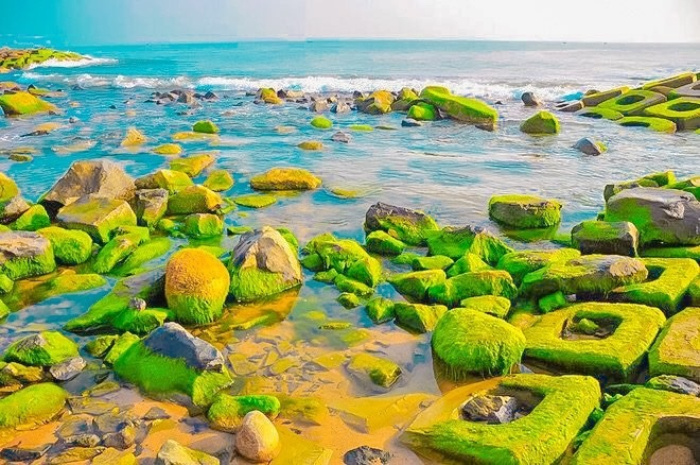 Đến Phú Yên, đừng quên ghé bãi đá rêu xanh đang vào mùa để có 'cả kho ảnh đẹp' mang về
