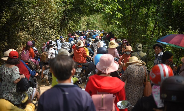 Hàng ngàn người rồng rắn ngắm loài hoa đặc biệt mọc ven suối ở Bình Định