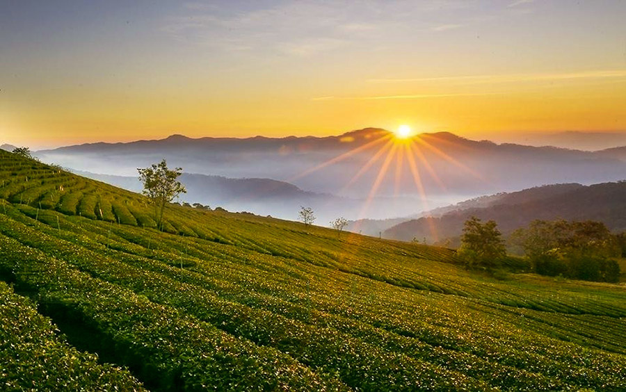 dat phong khach san, đặt phòng khách sạn, dat phong khach san truc tuyen, đặt phòng khách sạn trực tuyến, dat phong resort, đặt phòng resort, dat phong resort truc tuyen, đặt phòng resort trực tuyến