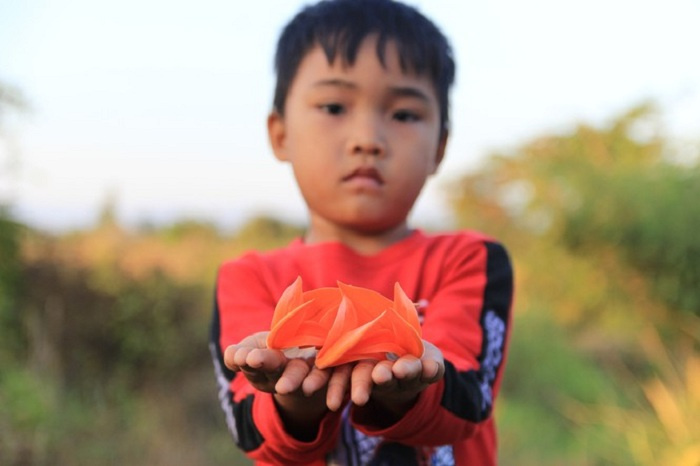 du lịch Gia Lai, khám phá Gia Lai, mùa hoa độc lạ ở Tây Nguyên, mùa hoa mlah, vẻ đẹp mùa hoa gièng gièng Gia Lai, mùa hoa độc lạ ở Tây Nguyên, du lịch Gia Lai, khám phá Gia Lai, mùa hoa mlah, vẻ đẹp mùa hoa gièng gièng Gia Lai 